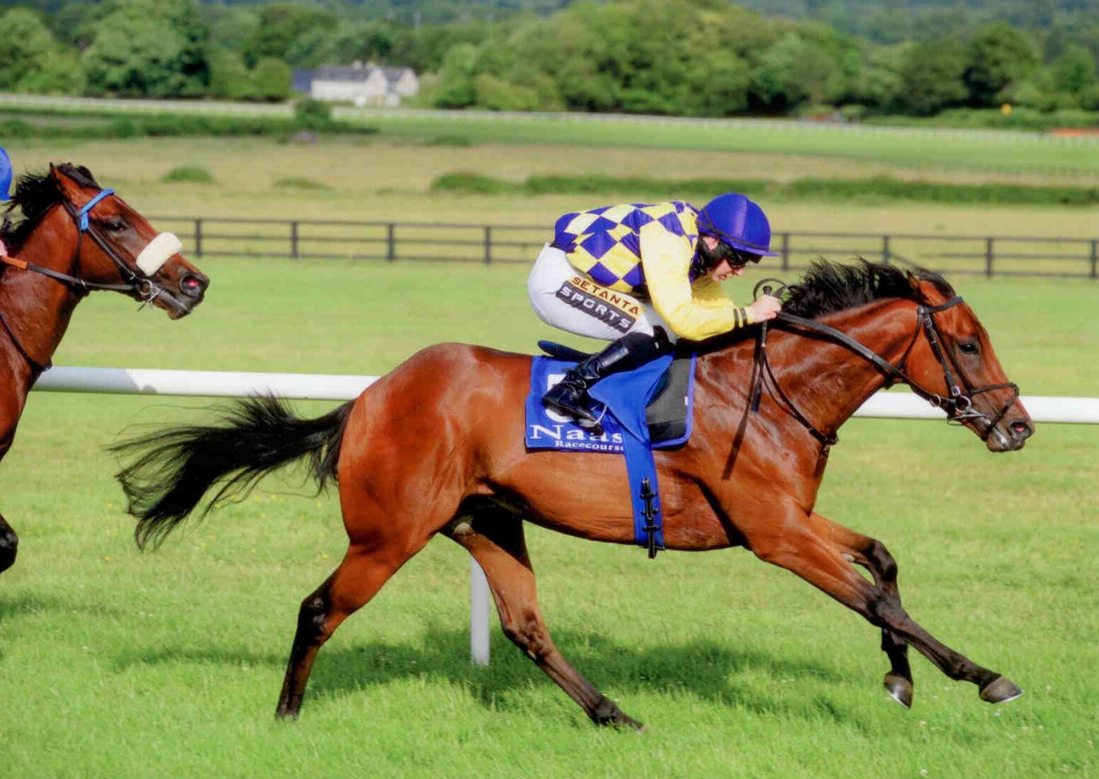 RECKLESS ENDEAVOUR breaks his maiden at Naas on July 8th, 2015